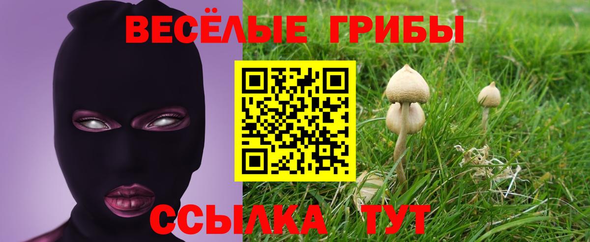 Нарткала  Галлюциногенные грибы мицелий  Вход с VPN 
